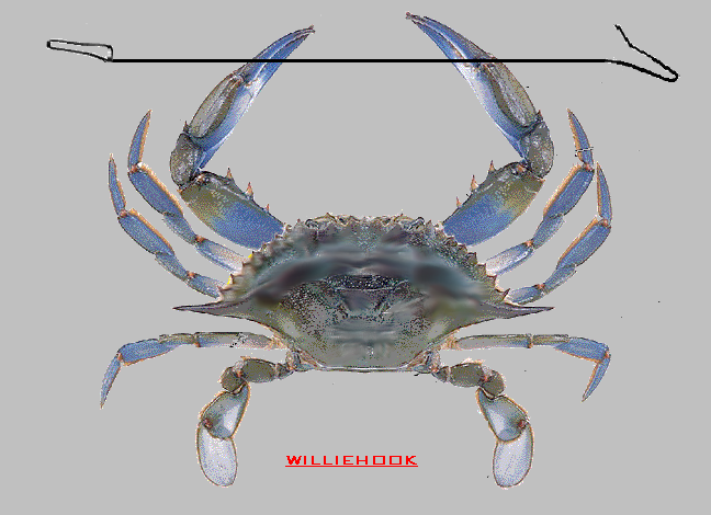 4 THE GOOD CRAB crab.bmp
